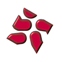 FORMACIÓN PMD PALENCIA